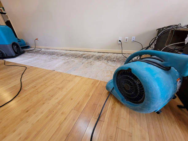 Professional Flood Damage Cleanup technician working in Blackwater, AZ